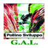 logo gal pollino 70